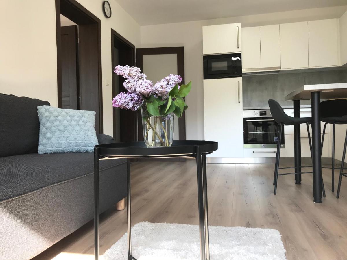 Apartmán NA KOPCI Krucemburk Exterior foto