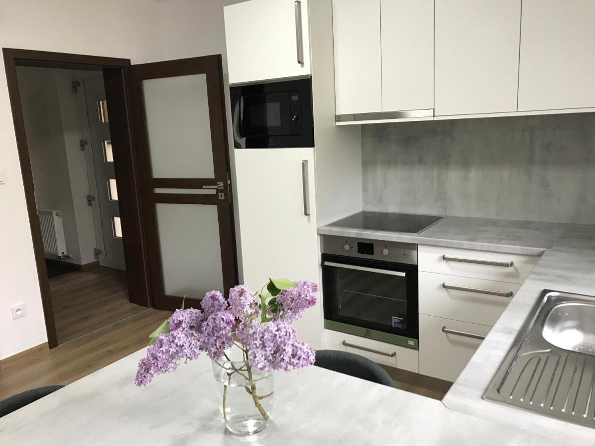 Apartmán NA KOPCI Krucemburk Exterior foto